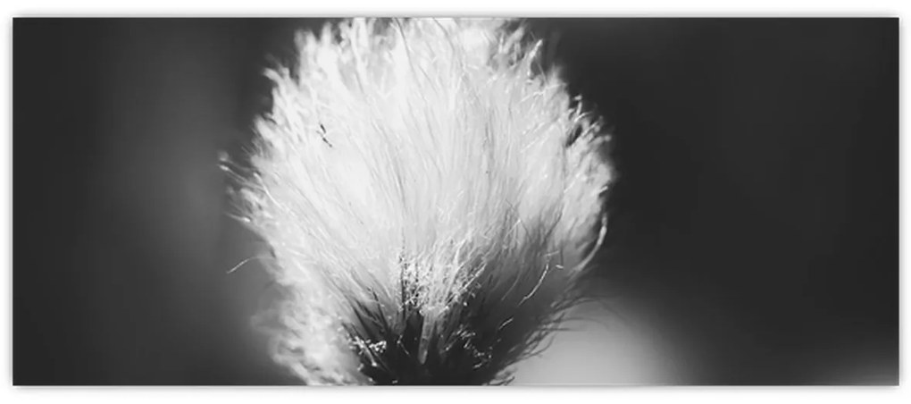 Kép - Fekete-fehér pamutfű (120x50 cm)