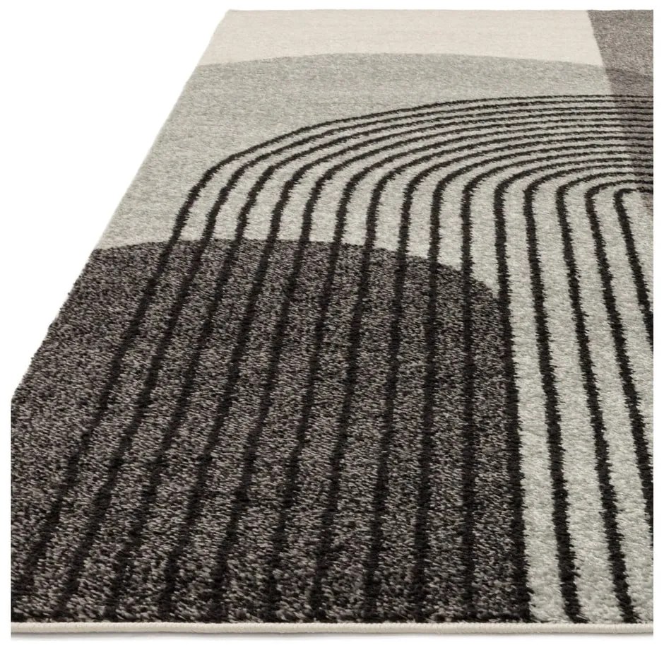 Szürke szőnyeg 290x200 cm Muse - Asiatic Carpets