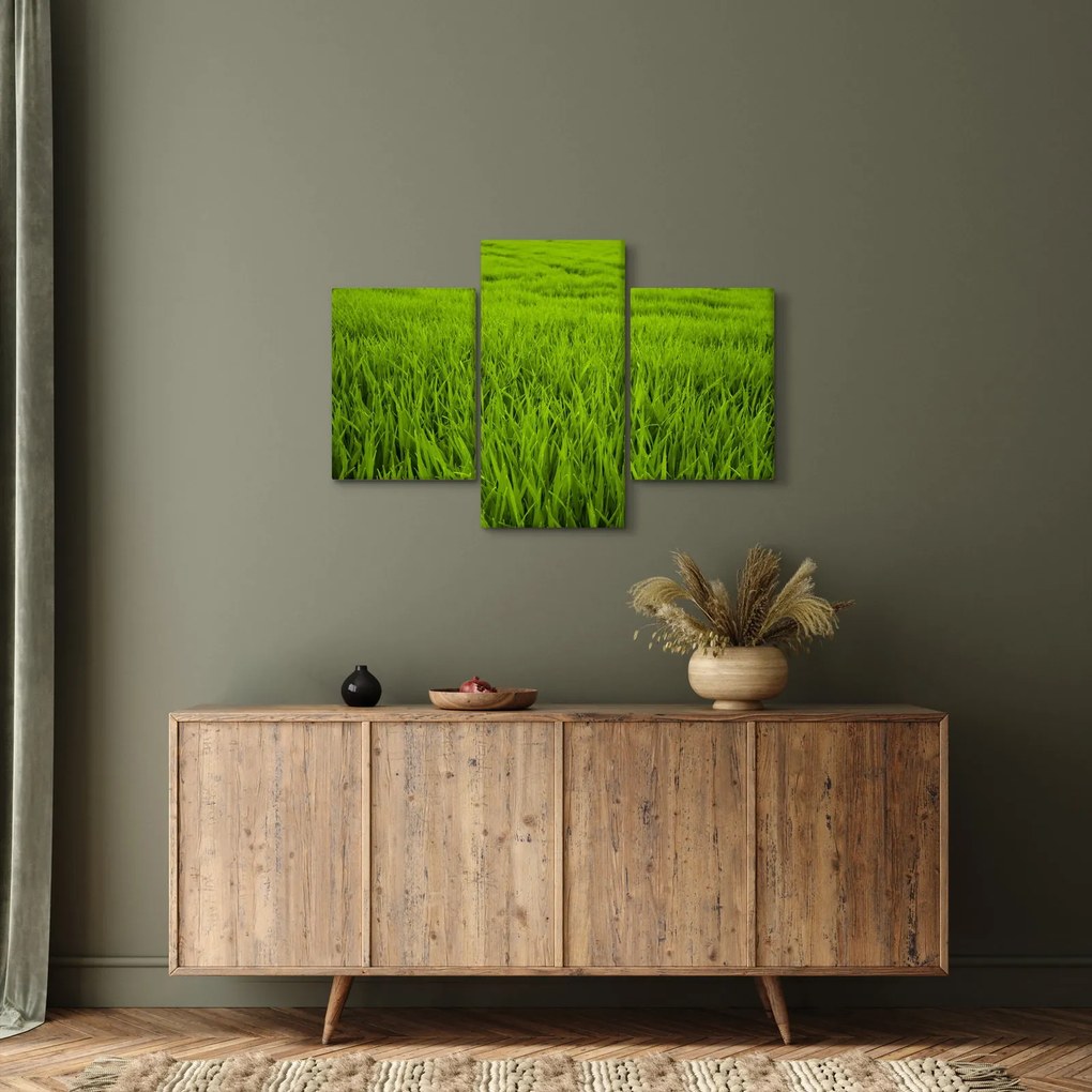 A fű képe (90x60 cm)
