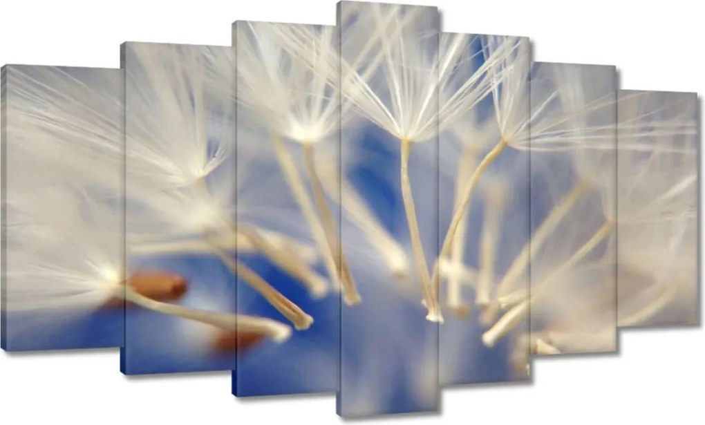 Vászonkép 140x80 Pitypang Virág Virágok