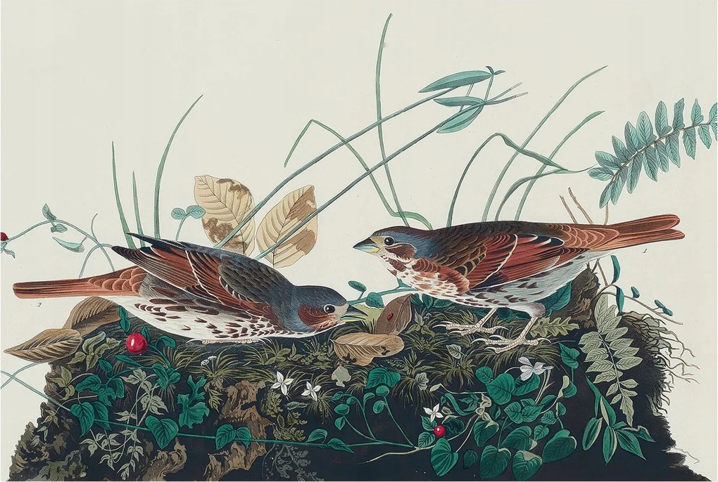 Fotótapéta Dekoratív Fali Tapéta Fotók A természet varázsa 104x70