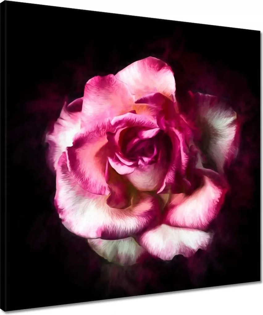 Vászonkép 50x50 Nagyvirágú rózsa Rózsa