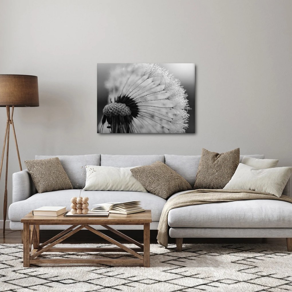 Pitypang képe - fekete fehér (70x50 cm)
