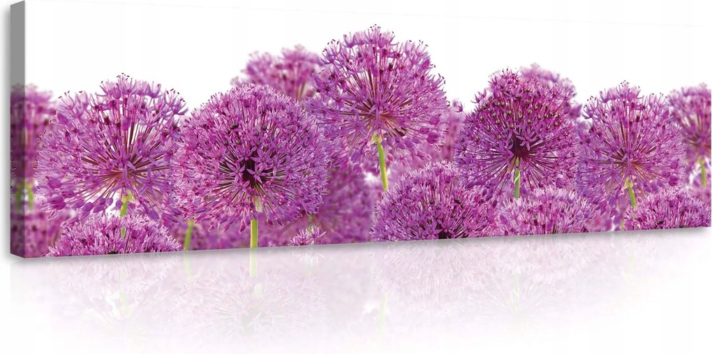 Vászonkép 145x45 Virágok hagyma dekoratív tavasz lila zöld frissesség
