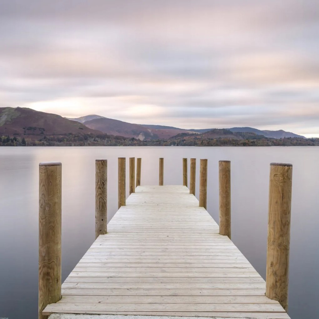 Poszter 70x70cm, Assaf Frank