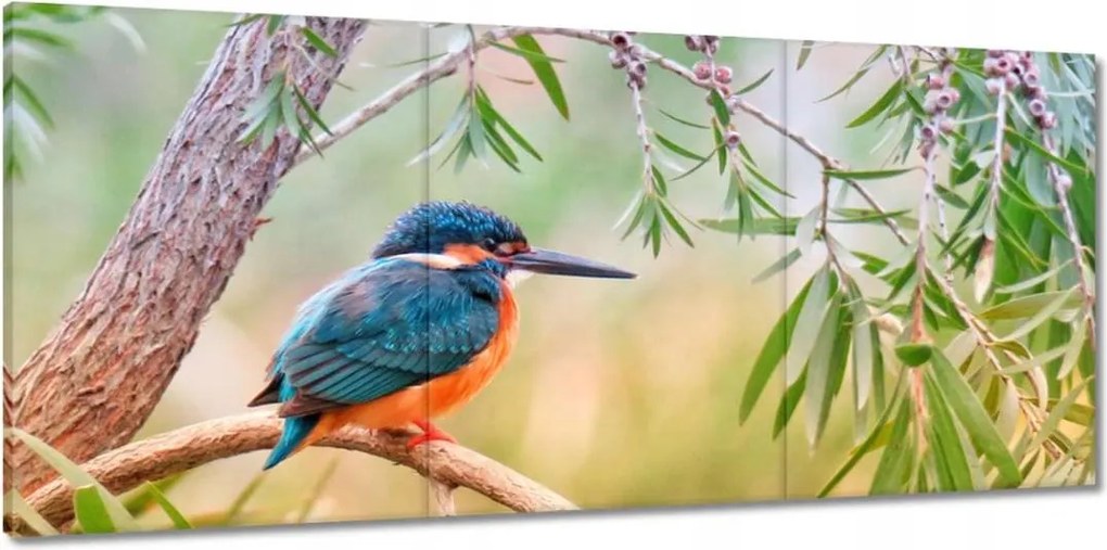 Vászonkép 150x70 Gyönyörű télimadár