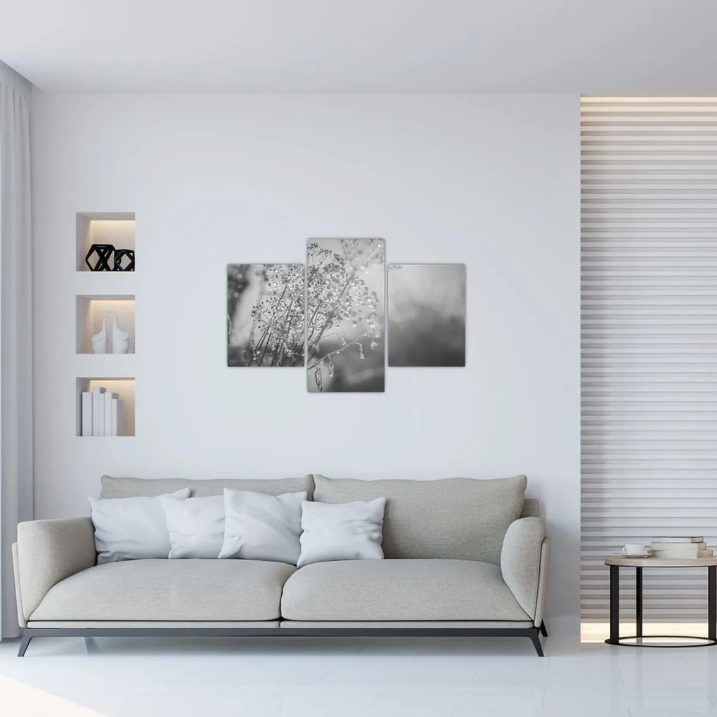 Kép - Mező az eső után (90x60 cm)