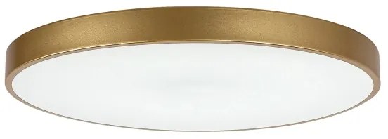 Rabalux 71038 -LED dimmelhető mennyezeti lámpa TESIA LED/60W/230V 3000-6000K+Távirányító