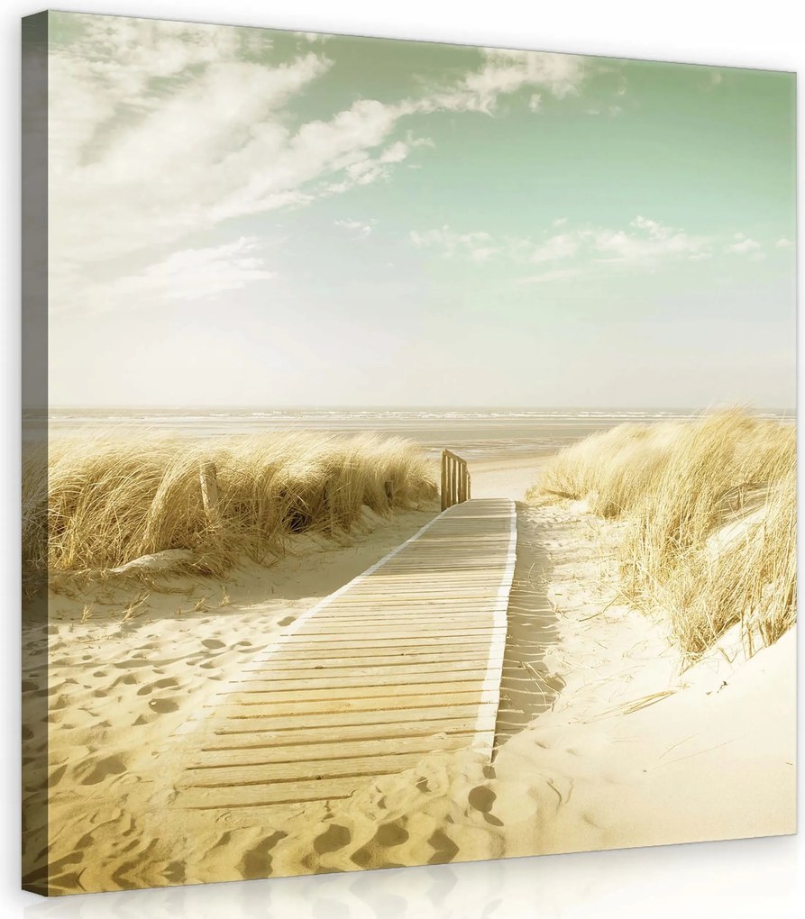 Vászonkép 40x40 Tengeri táj tengerpart dűnék nyugalom természet nyár pihenés