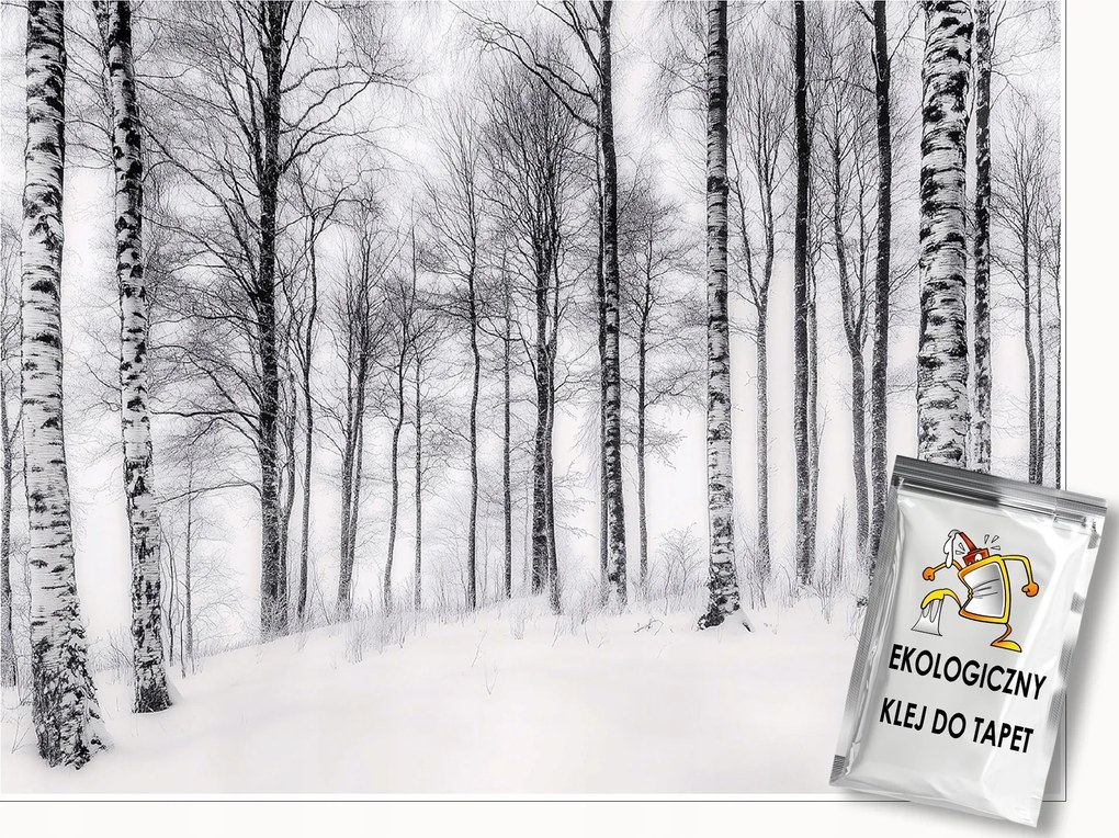 3D Fotótapéta Nyírfa Erdő Természet Fali Hálószoba Nappali 350x250