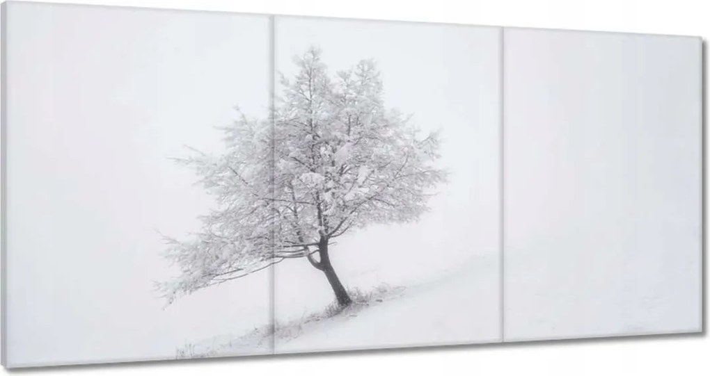 Festmények 180x90 Fa Fák Kilátás