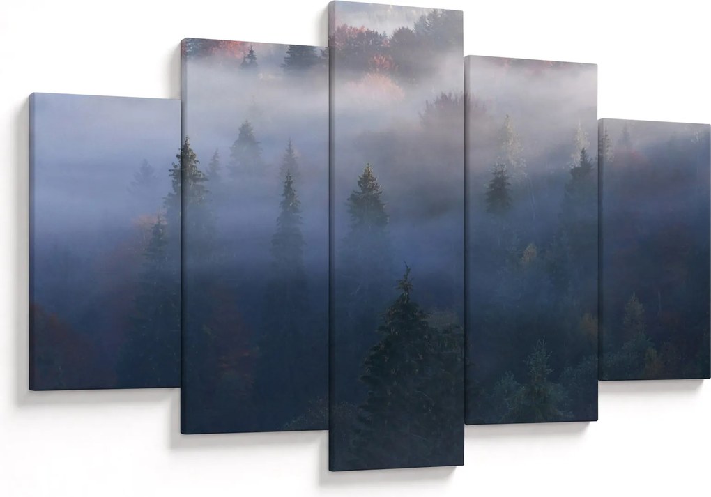 Kép - erdő a ködben, Carpathians, Ukraina (150x105 cm)