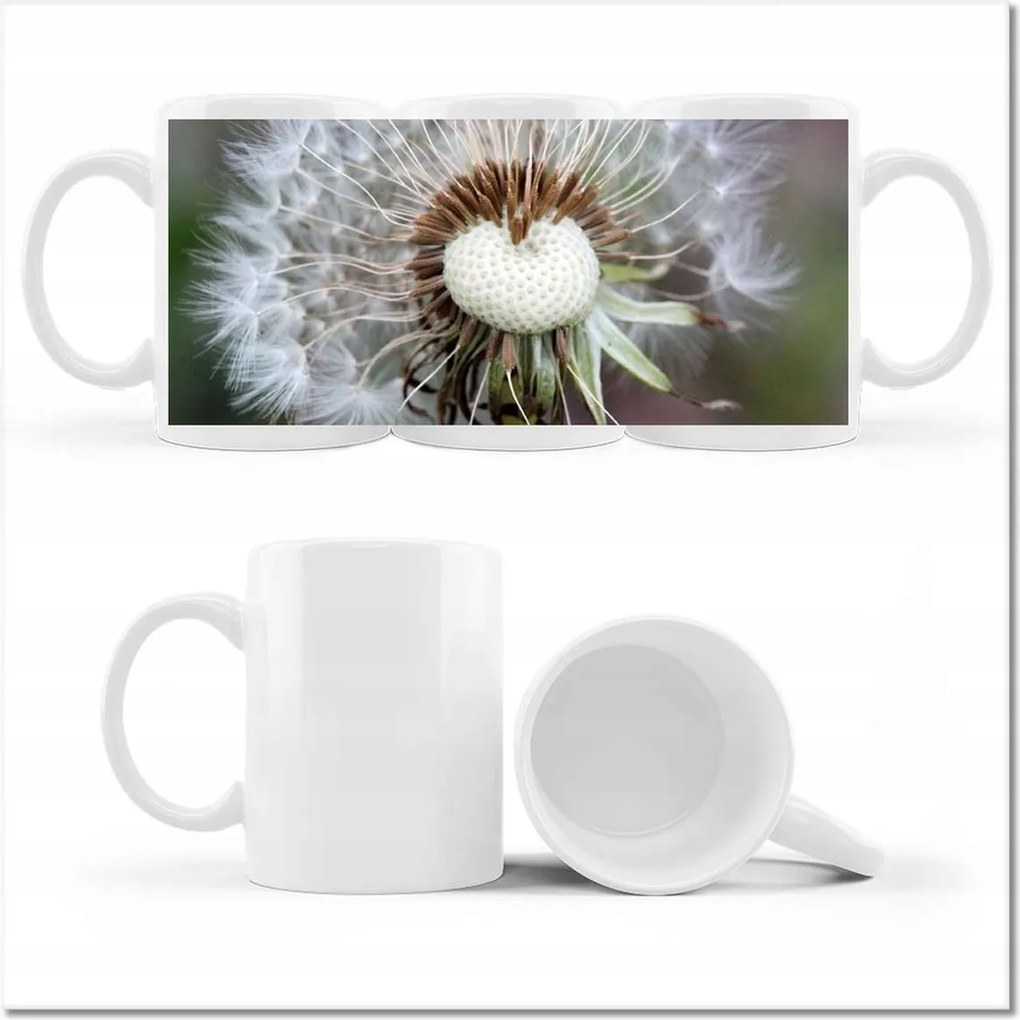 Fotó bögre Pitypang Virág Virágok