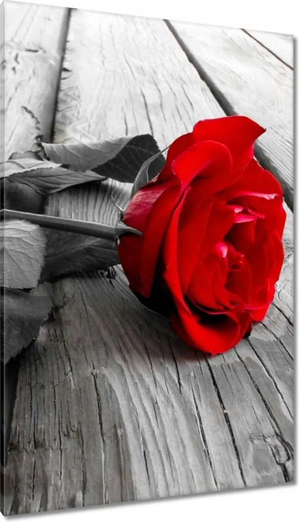 Vászonkép 80x120 Rózsa a hídon