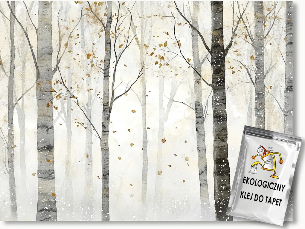 Fotótapéta Flizelina Grafika Erdő Park Nyírfák Ősz 100x75 ragasztó