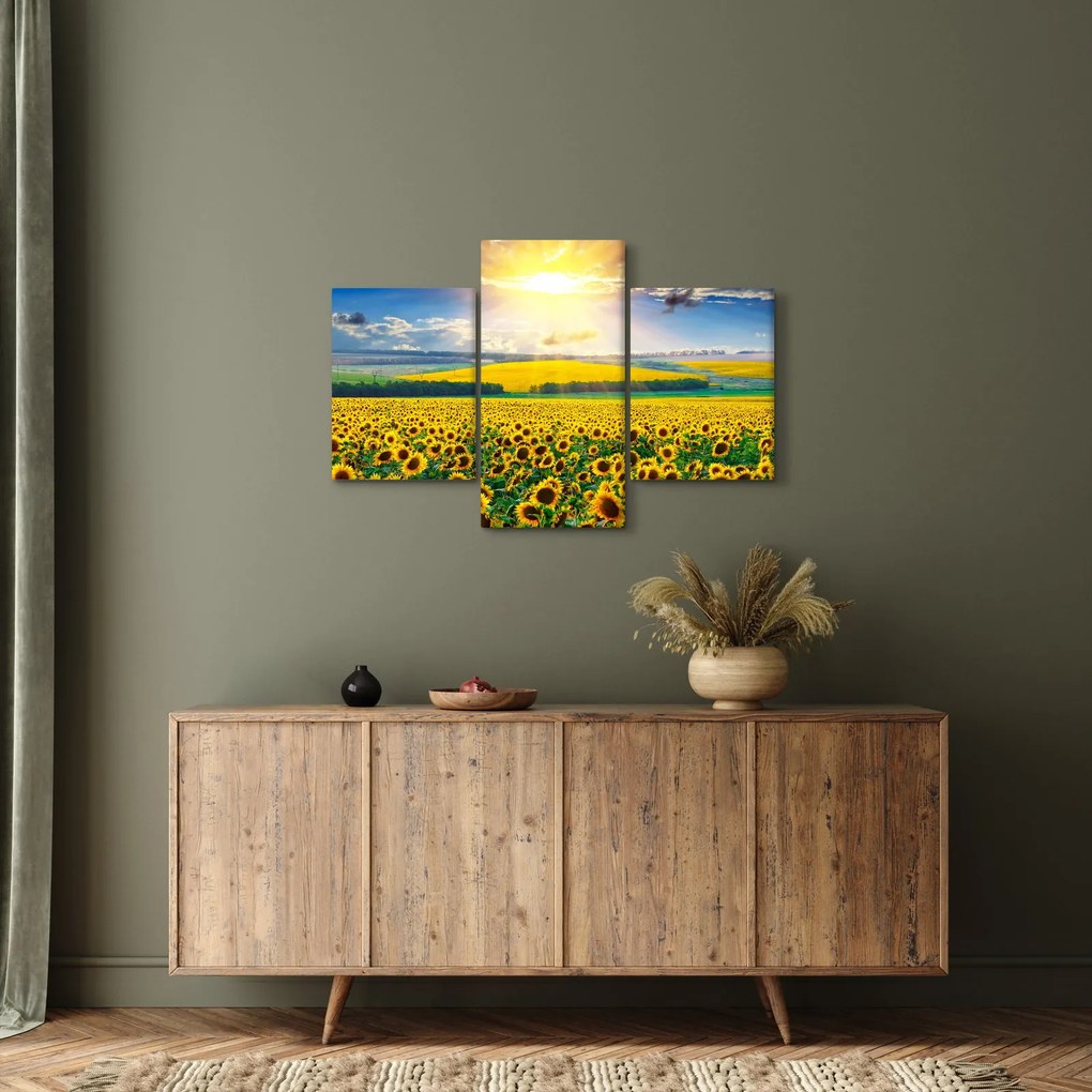 Kép - Napraforgó mező (90x60 cm)