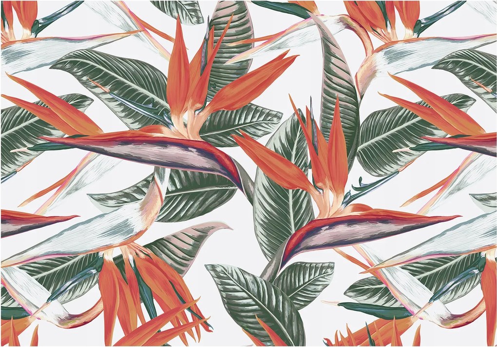 Fotótapéta flizelina Trópusi virágok és paradicsomi madár egzotikus 250x175 +ragasztó