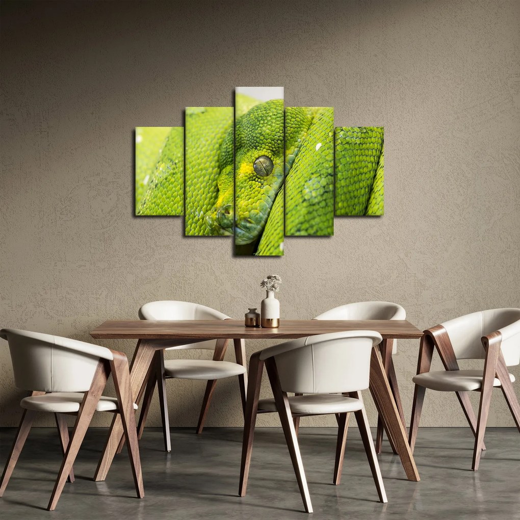 Kígyó képe (150x105 cm)