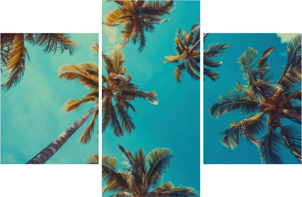 Kép - Magas pálmafák (90x60 cm)