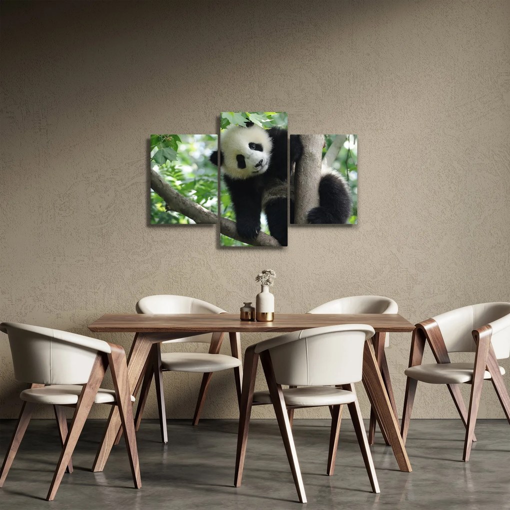 Kép - Panda a fán (90x60 cm)