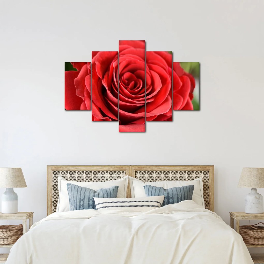 Egy rózsa virág képe (150x105 cm)