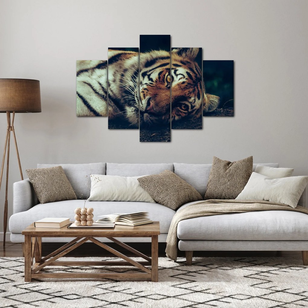 Kép - Szibériai tigris (150x105 cm)