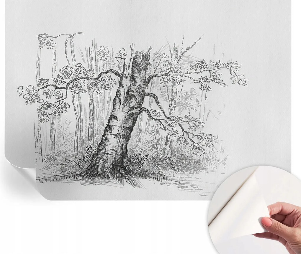 Öntapadós Dekoratív Fotótapéta Hálószobába Erdei fa 208x146 cm