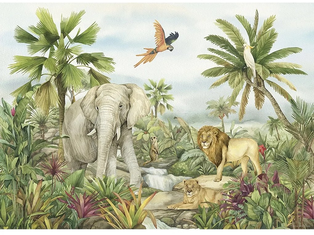 Gyerek fotótapéta Colourful Jungle 252 x 182 cm, 4részes
