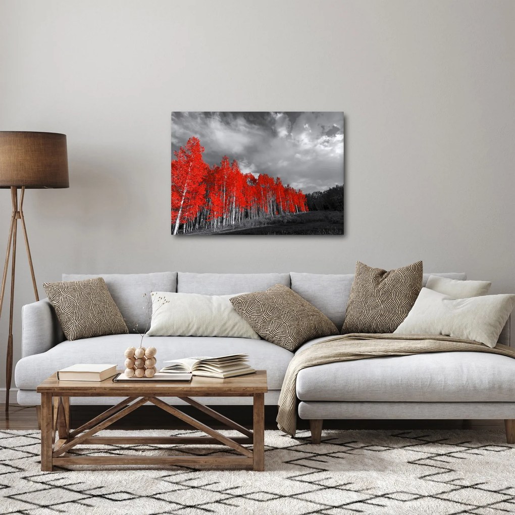 Kép - fák őszi színben (70x50 cm)