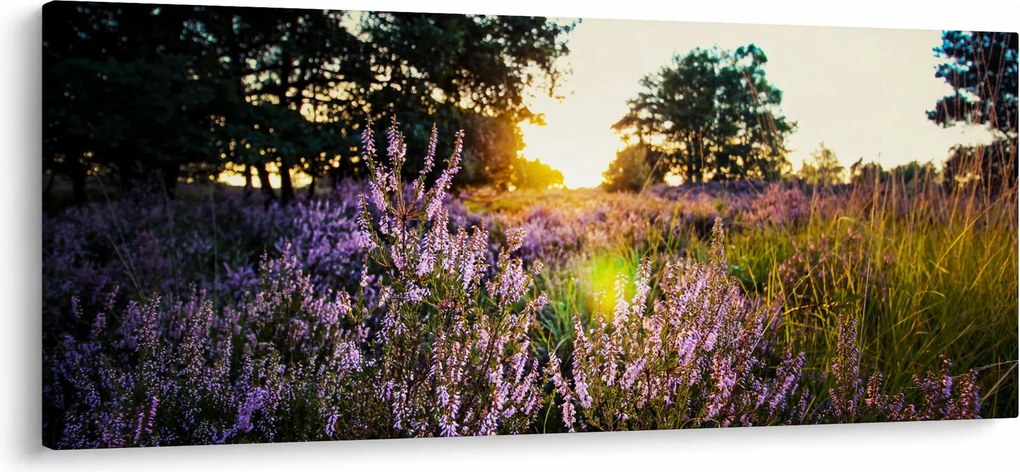 Egy levendulamező képe (120x50 cm)