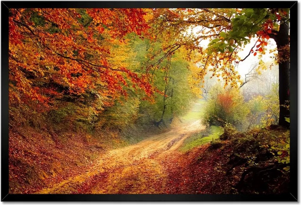 Poszterek keretben 60x40 Út az erdőben ősz