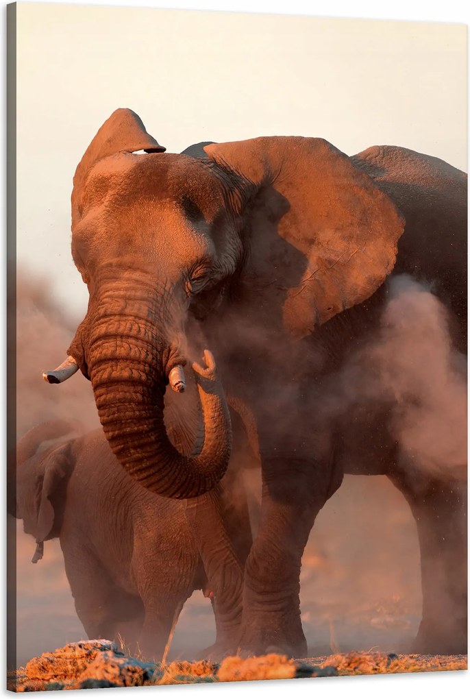 Vászonkép Elefántok Narancssárga Ég Füst Művészet 60x90 cm
