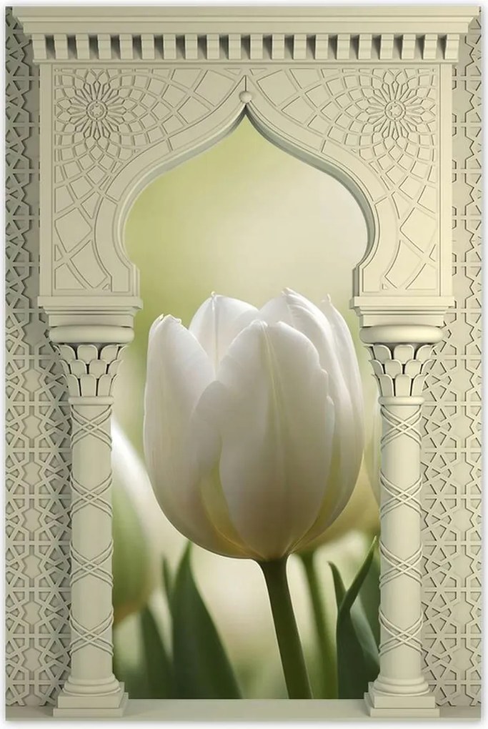 Poszterek 60x90 Fehér tulipánok