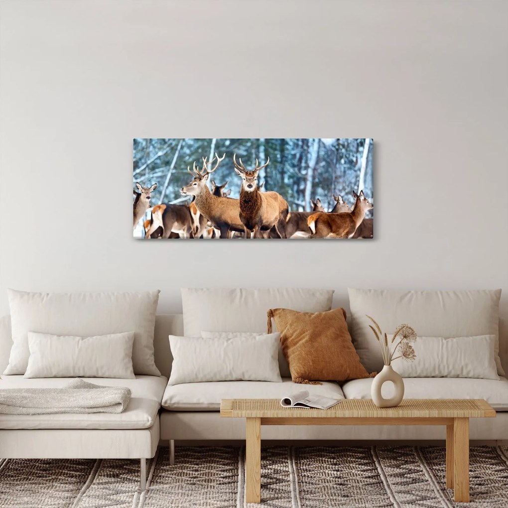 Kép - Szarvas csorda (120x50 cm)