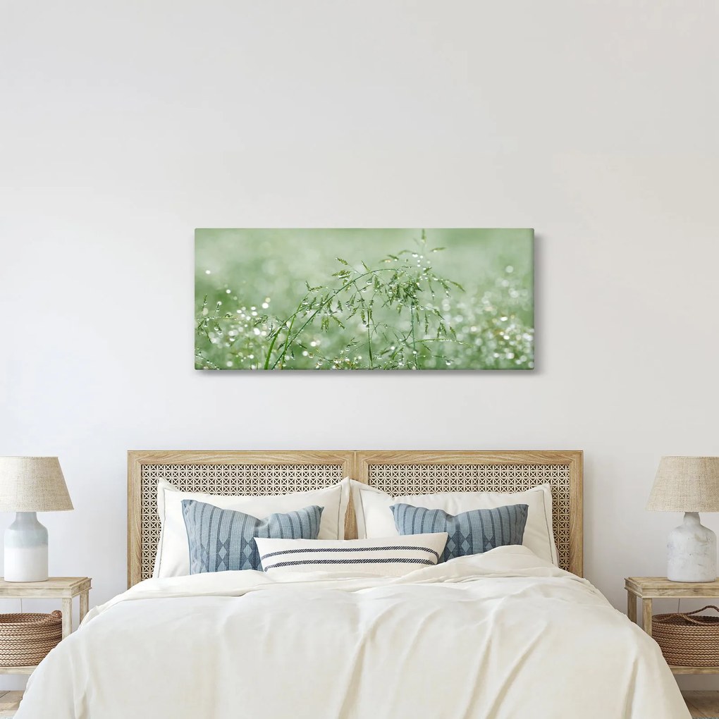 Kép - Reggeli harmat a fűszálakon (120x50 cm)