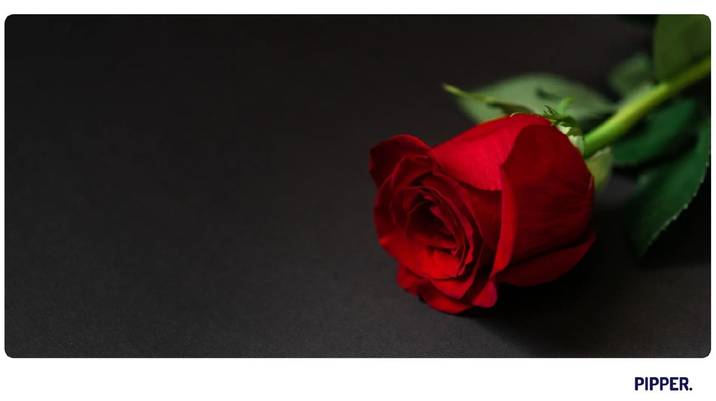 PIPPER. Öntapadós textiltapéta "Rózsa 2"