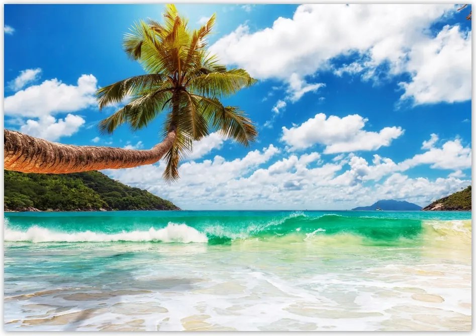 Fotótapéta flizelina 312x219 Paradicsom tengerpart pálmafákkal