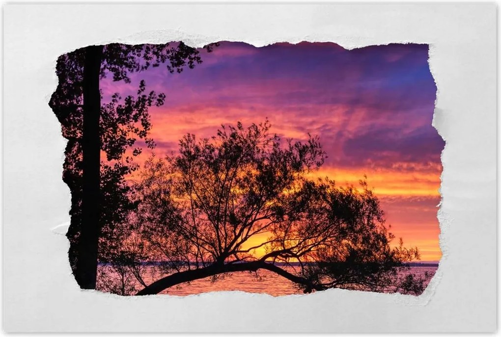 Poszterek 90x60 Tó Fa Nyugat