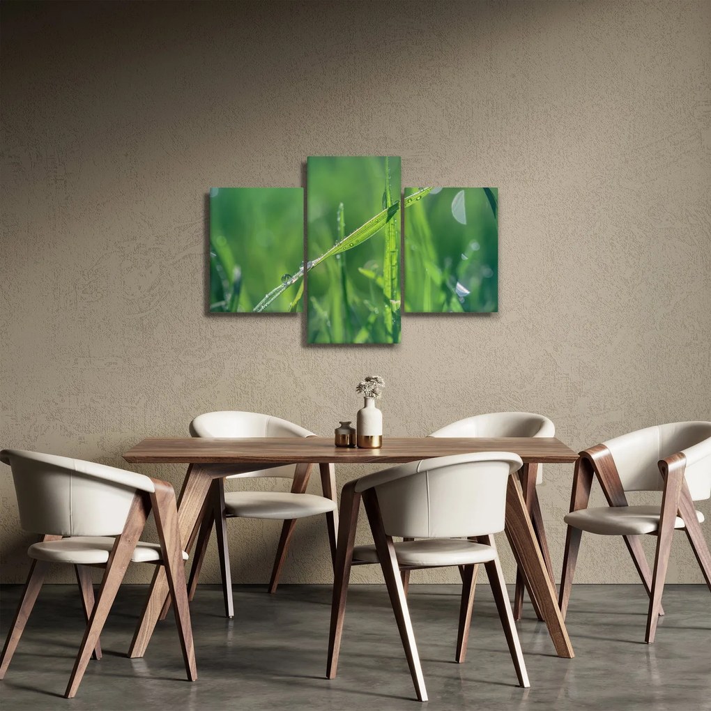 Harmat cseppek képe (90x60 cm)