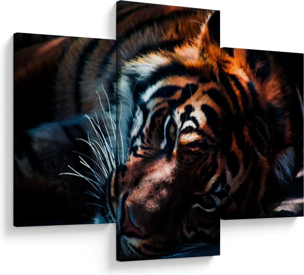 Egy fekvő tigris képe (90x60 cm)