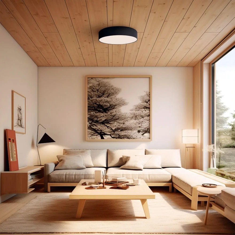 Fekete LED mennyezeti lámpa ø 60 cm – SULION