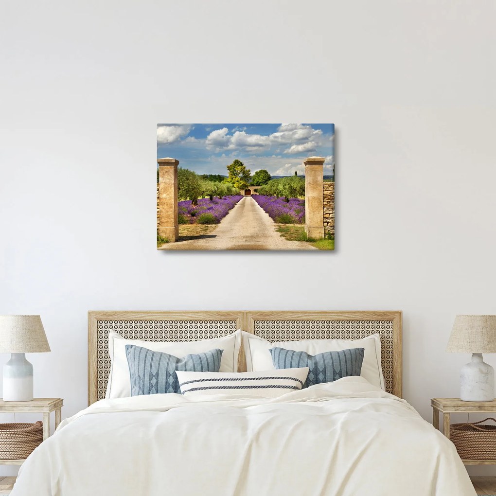 Kép - Levendula ösvények (70x50 cm)