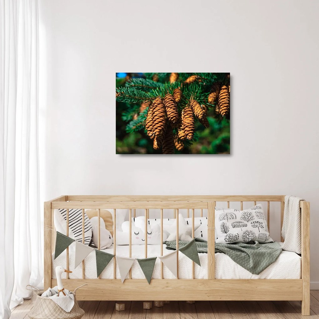 Fenyőtobozok képe (üvegen) (70x50 cm)