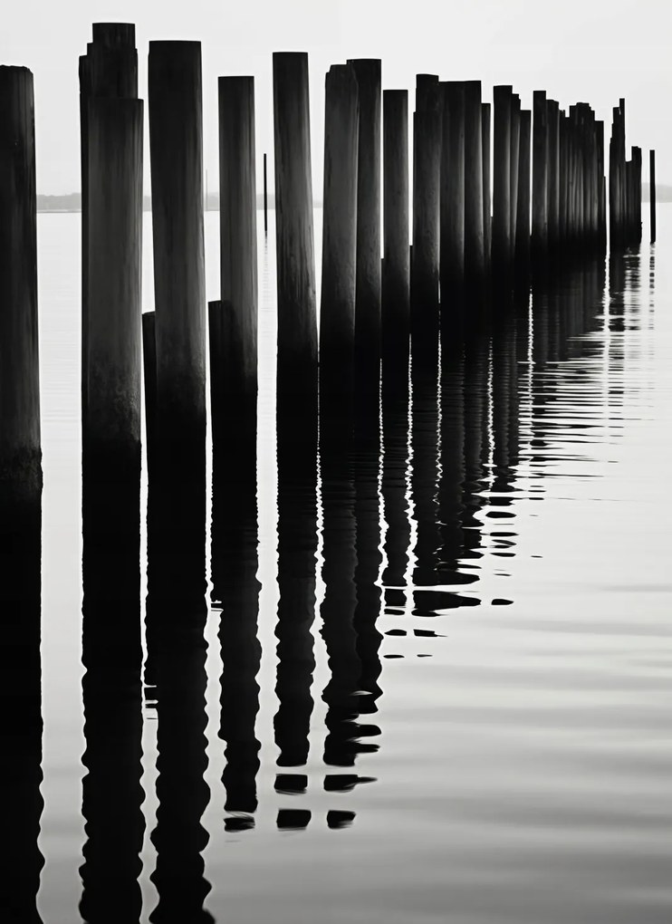 Poszter 40x55cm Víz és fa ritmusa