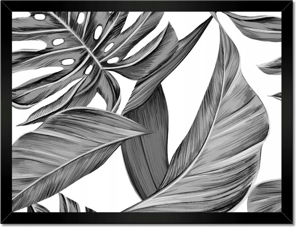 Monstera keretes poszter 40x30, szürke