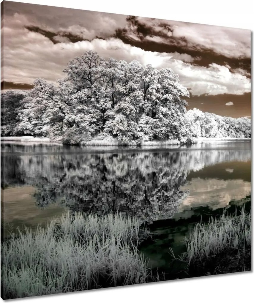 Vászonkép 80x80 Tájkép Infravörös Ir