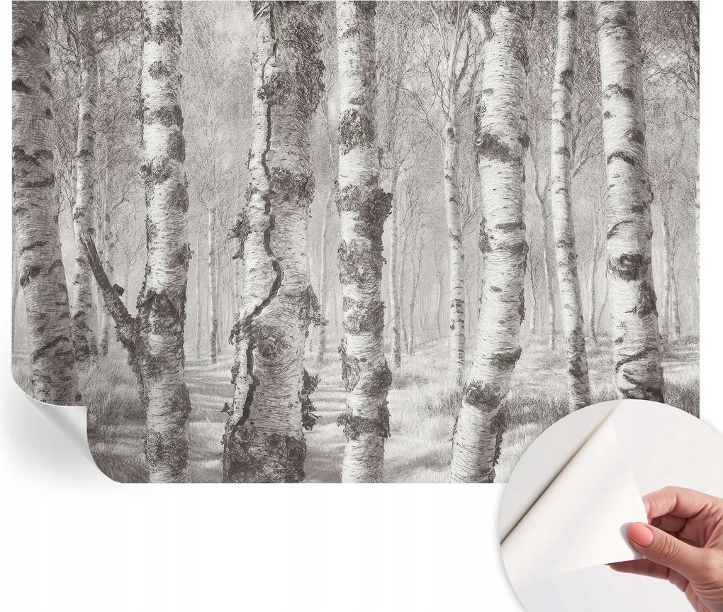 Fotótapéta Dekoratív Fali Tapéta Képekkel Nyírerdő 312x219