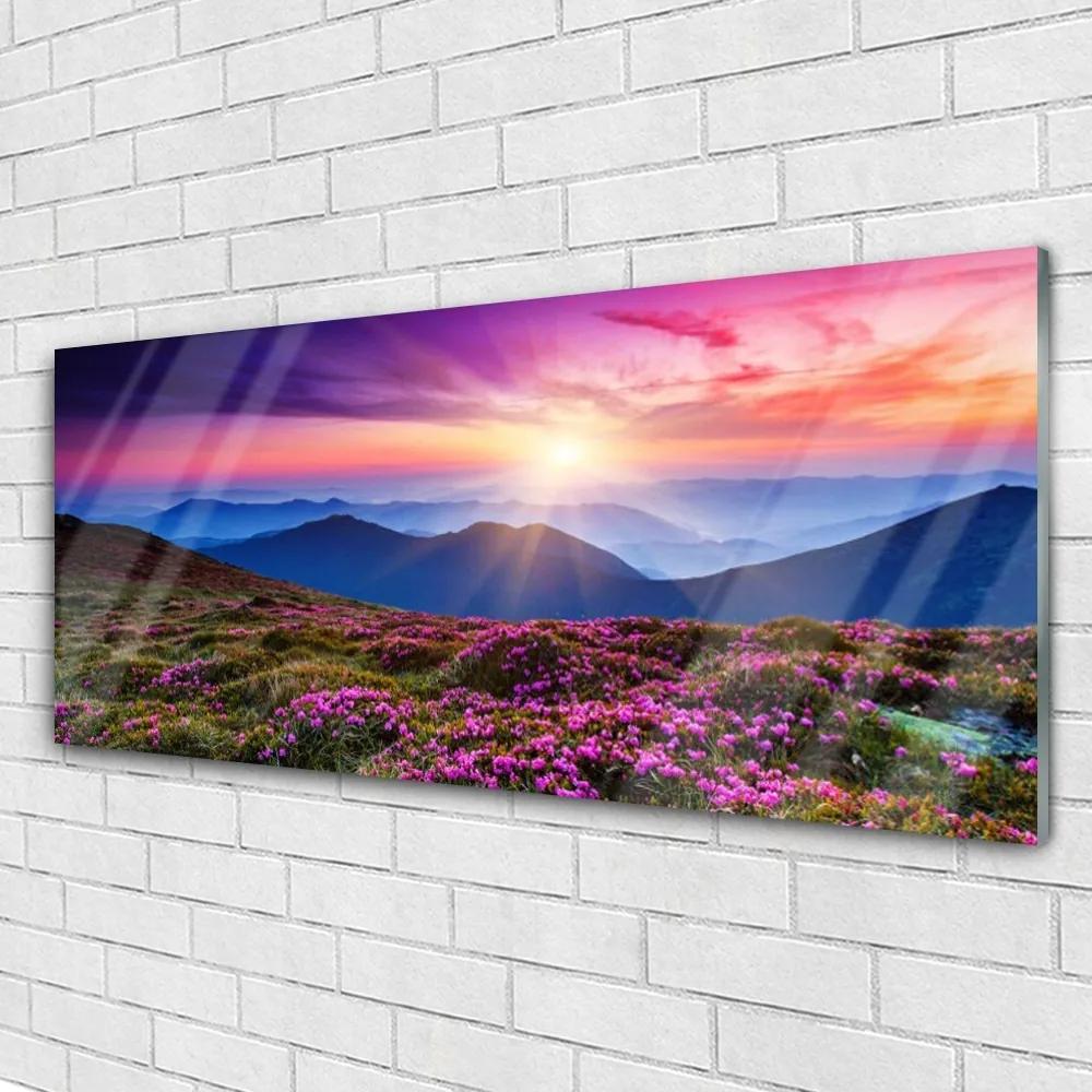 Akril üveg kép Sun Mountain Meadow Landscape 125x50 cm