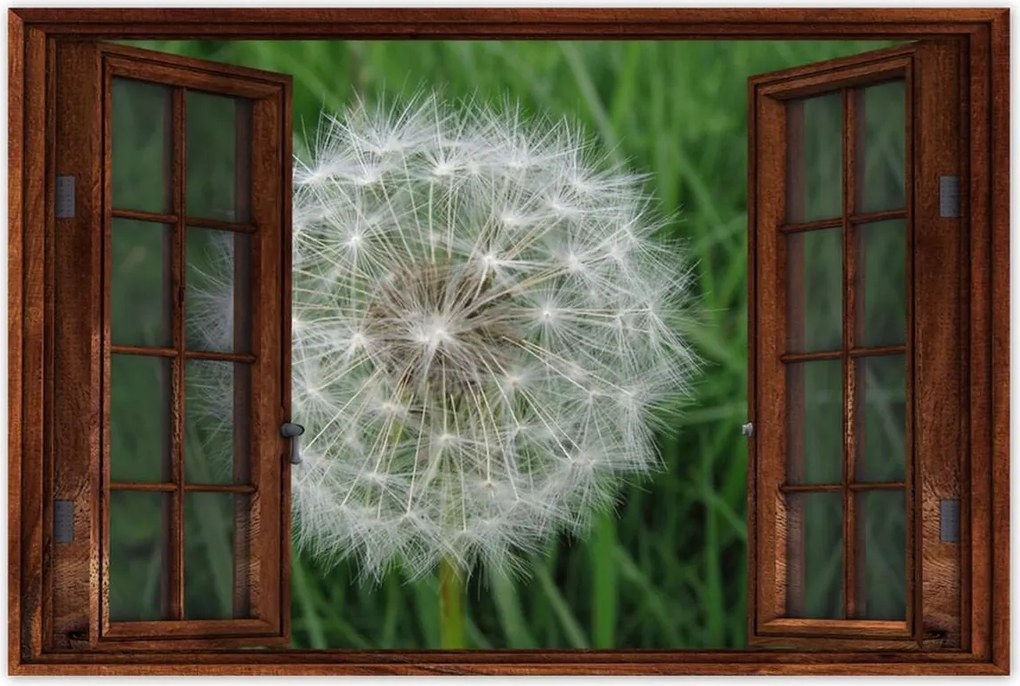 Poszterek 120x80 Pitypang Virág Virágok