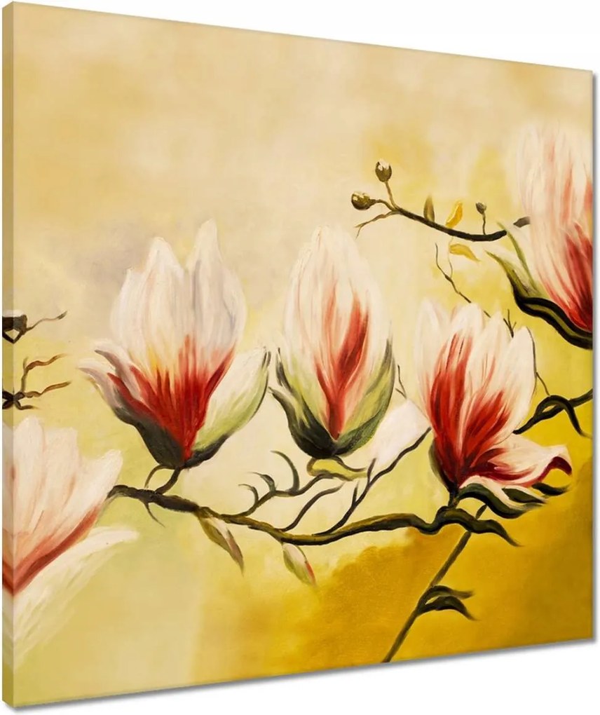 Vászonkép 50x50 Magnólia